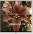 /album/photo-gallery-canvas-uri/decoratiuni-de-perete-canvas-lc-1179-jpg/